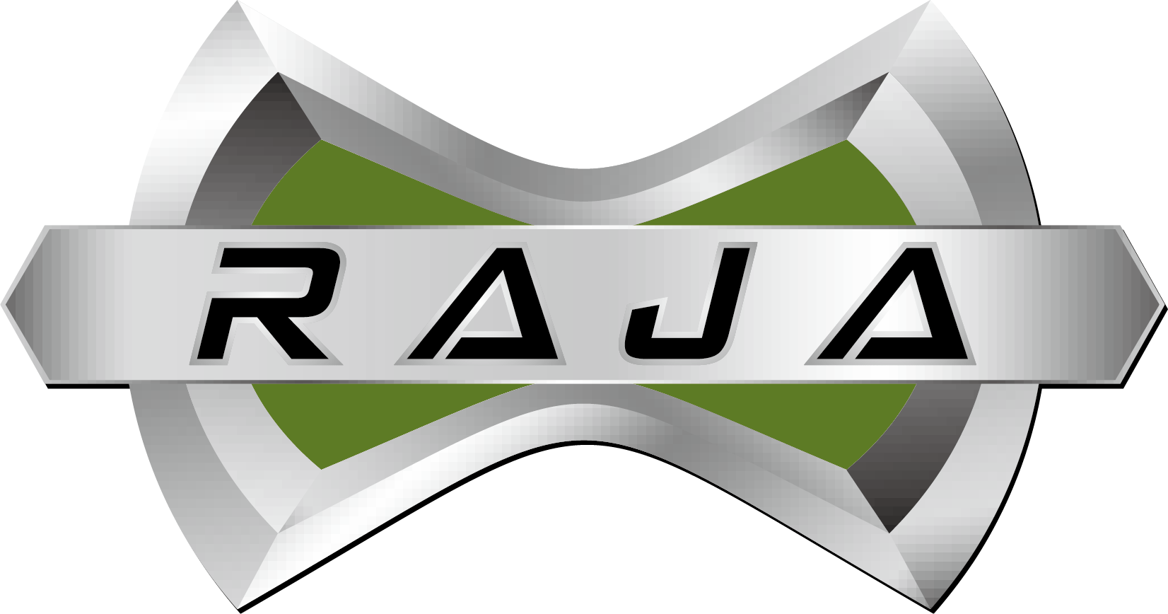 RAJA New Energy Technology Co., LTD